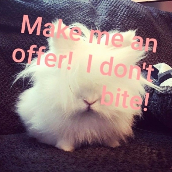 Make me an Offer!🌸 - Picture 1 of 1